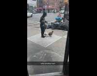 Woman walking with her three ducks and cane