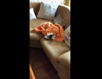 Dog sleeps under orange blanket brown couch 