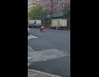 Guy pull cart along the road at day in NY 