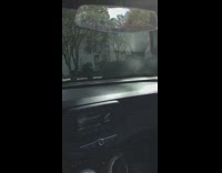 Guy drives dog in sports car 