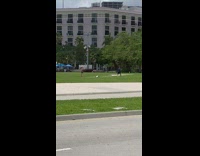 Guy Punches Air for Workout Video at Park 