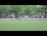 Guy does pull ups tree branch park 