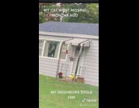 Neighbor steals cat rascal inside 
