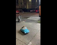 Guy pats small blue car with two dolls