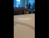 Guy having conversation with cat