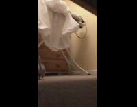 Collab BitchMP - Floor camera films gerbil running 