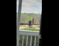 Guy dreadlocks rap dont stop me now