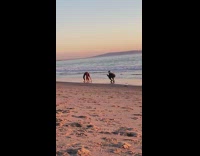 Woman bend back handstand yoga beach sunset