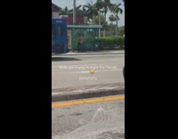Brown shirt guy punches green bus stop 