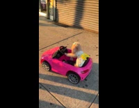 Dog wearing dress riding ride on car 