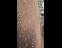 Kid gets pushed to the ground by the horse behind it