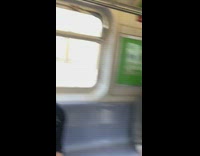 Brown bird trapped in train guy cart