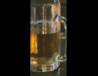 Man green shirt take pictures beer mug