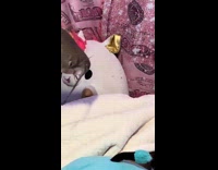 Dad scaring daughter with catfish