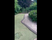 Collab BitchIG2 - Woman lost golf ball 