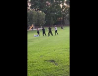 Group friends dance tiktok video public park