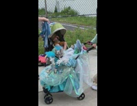 Woman pushing chihuahua inside baby carriage