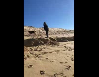 Girl flips and fails on beach near dog