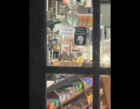 Bunch of rats eating banana at store