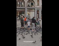 White pants lady pigeon birds sit arms 