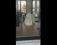 Collab DailyDoseOfInternet - Cat pulls white tablecloth bowls fall break 