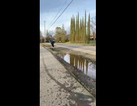 Guy riding heelys falls in puddle water