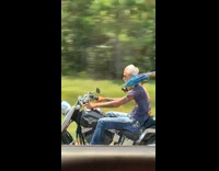 Clips mpugc - Man driving motorcycle with parrots on shoulders