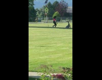 Woman pink top timer bicycle park pictorial