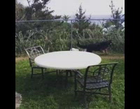 German Shepherd Chases White Rabbit Along Backyard Fence