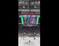 Jumbotron at hockey game shows fake and real proposal 