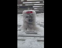 Can left out is covered in pt. 2
