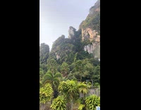 Guy Thailand forest view sounds