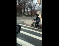 Dog rides electric bike stand behind owner