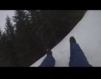 Dog trips while chasing sledder 