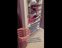 Puppy opens closed door 