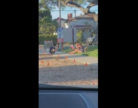 Girl red book on grass mom dog