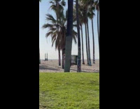 Two women bikini different pictorial beach park