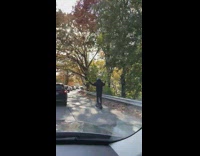 Person rides electric scooter past cars in traffic 