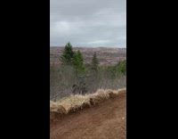 Guy rides blue bicycle up ramp mountain 
