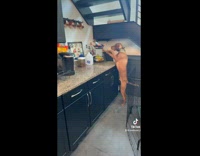 Compilation of chaotic brown dog 