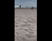 Vacation in Miami Florida