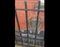 Spider webs on railings turn frozen cold