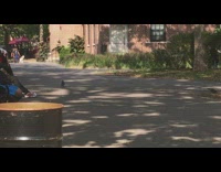 Two pigeon birds walk together park asphalt