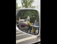 Collab winy - Three people push large shark paper mache float