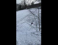 kids on red sled down snowy hill 
