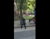 Homeless man lay on shopping cart street