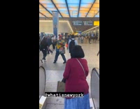 Collab WINY - Man with orange in his mouth and some on top of his head stay still near escalator