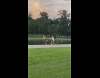 Woman patterned skirt fall water belt park