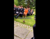 Duck walks down aisle wedding