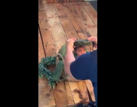 Baby behave while dressed for a photoshoot